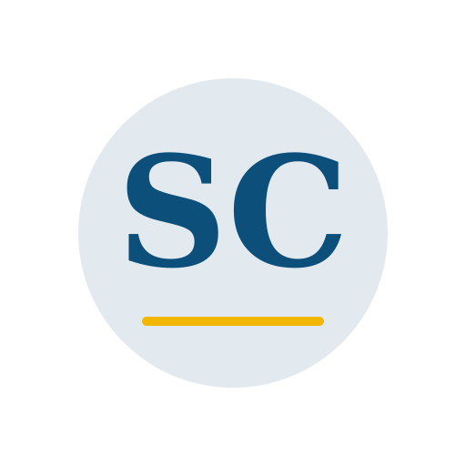 Solor Chimney Services logo